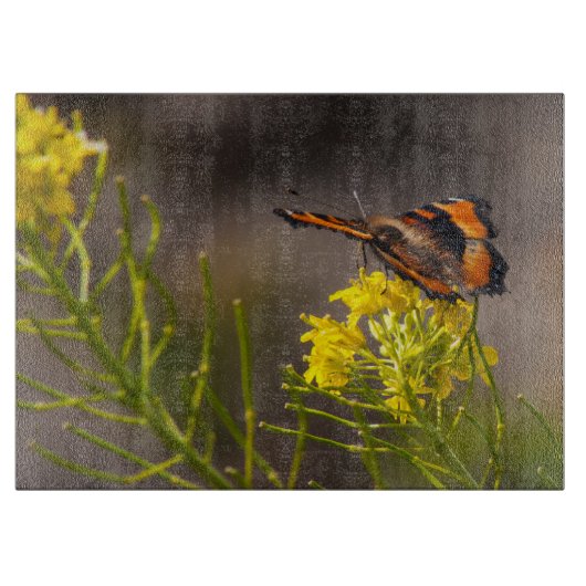 Milbert's Tortoiseshel Butterfly gaat dicht Snijplank (Voorkant)