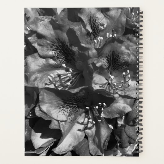 Milde Leugen Planner (Achterkant)