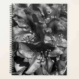 Milde Leugen Planner