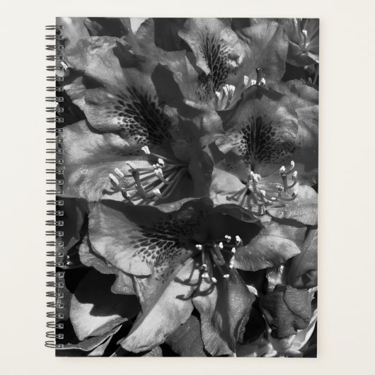Milde Leugen Planner (Voorkant)