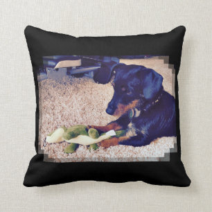 Miles - Hobie - Dachshund X Kussen