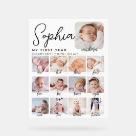 Milestone verjaardagsbord, printbare baby's eerste acryl bord