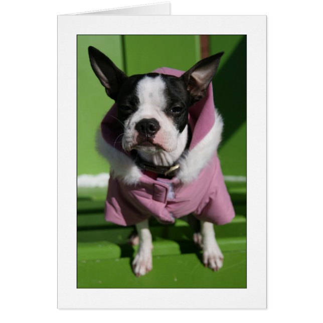 Miley in de kou (Voorkant)