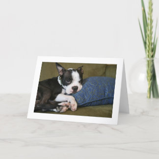 Miley is geërgerd kaart