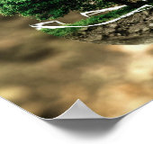 milieubescherming poster (Hoek)