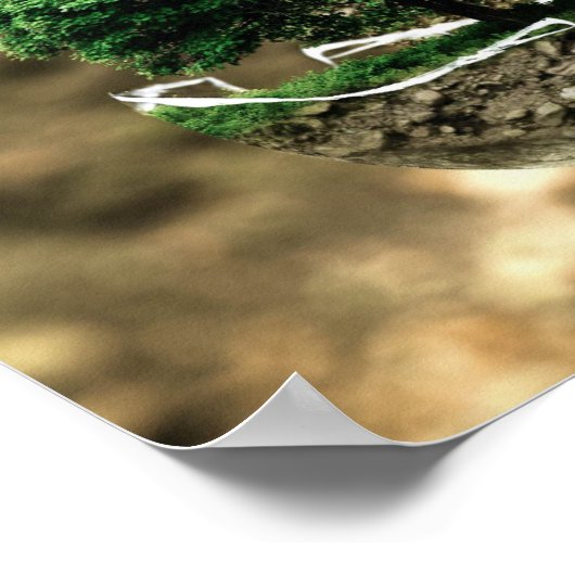 milieubescherming poster (Hoek)