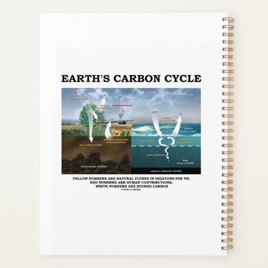 Milieuwetenschappen van de Aarde in de koolstofcyc Planner (Achterkant)