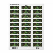 militair groen camouflage retouradres etiket (Full Sheet)