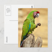 Militaire ara geperst briefkaart (Voorkant / Achterkant)