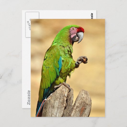 Militaire ara geperst briefkaart (Voorkant / Achterkant)