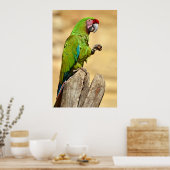 Militaire ara geperst poster (Keuken)