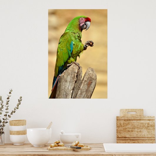 Militaire ara geperst poster (Keuken)