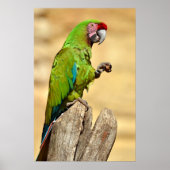 Militaire ara geperst poster (Voorkant)