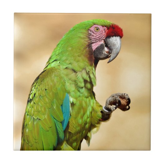 Militaire ara geperst tegeltje (Voorkant)