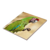 Militaire ara geperst tegeltje (Zijkant)