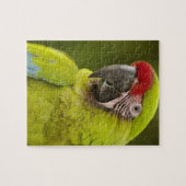 Militaire Ara Legpuzzel (Horizontaal)