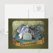 Militaire Duitse herder Briefkaart (Voorkant / Achterkant)