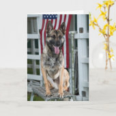 militaire hond kaart (Gele Bloem)