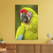 Militaire Macaw Canvas Afdruk (Insitu (Woonkamer))