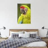Militaire Macaw Canvas Afdruk (Insitu (Slaapkamer))