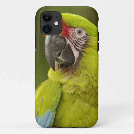 Militaire Macaw Case-Mate iPhone Case (Achterkant)