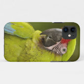 Militaire Macaw Case-Mate iPhone Case (Achterkant (horizontaal))