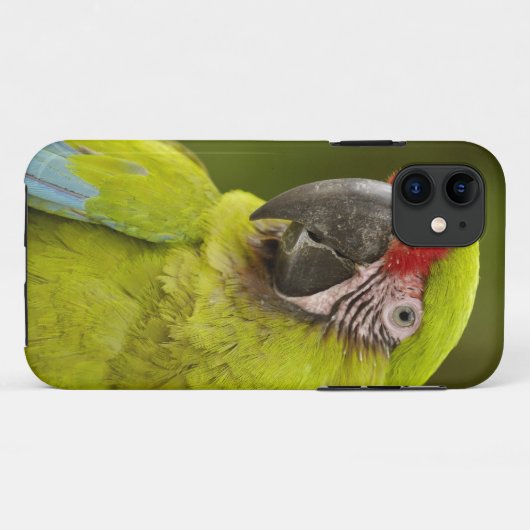 Militaire Macaw Case-Mate iPhone Case (Achterkant (horizontaal))
