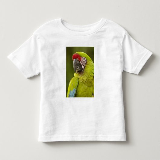 Militaire Macaw Kinder Shirts (Voorkant)