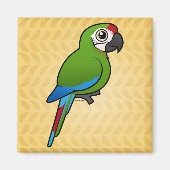 Militaire Macaw Magneet (Voorkant)