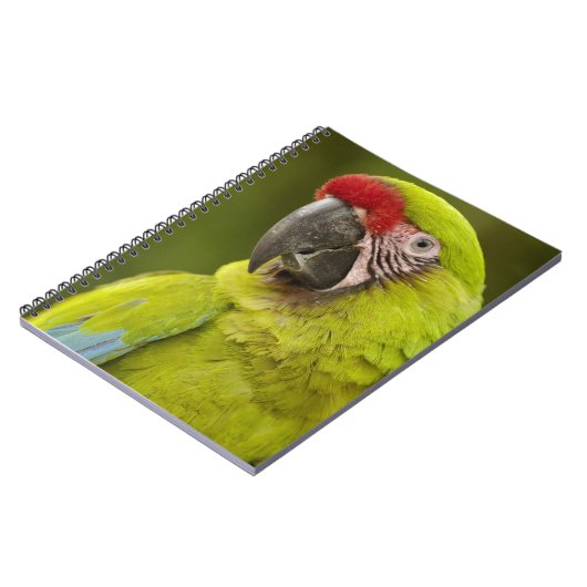 Militaire Macaw Notitieboek (Linkerzijde)