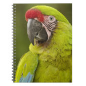 Militaire Macaw Notitieboek (Voorkant)