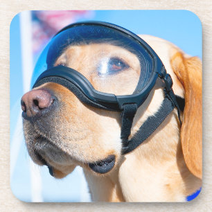 MILITAIRE WERKHOND VS BIER ONDERZETTER