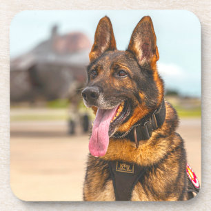 MILITAIRE WERKHOND VS BIER ONDERZETTER