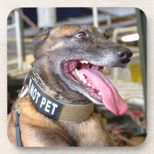 MILITAIRE WERKHOND VS BIER ONDERZETTER