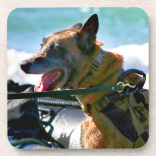 MILITAIRE WERKHOND VS BIER ONDERZETTER
