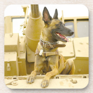 MILITAIRE WERKHOND VS BIER ONDERZETTER