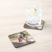 MILITAIRE WERKHOND VS BIER ONDERZETTER (Rechterzijde)