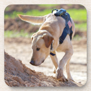 MILITAIRE WERKHOND VS BIER ONDERZETTER