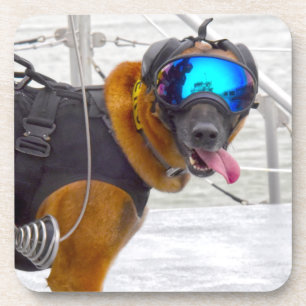 MILITAIRE WERKHOND VS BIER ONDERZETTER