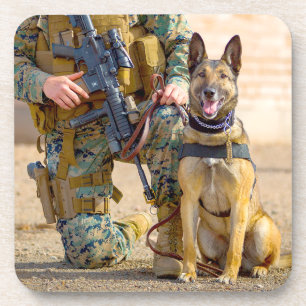 MILITAIRE WERKHOND VS BIER ONDERZETTER