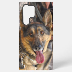 MILITAIRE WERKHOND VS SAMSUNG GALAXY HOESJE