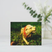 miljard briefkaart (Staand voorkant)