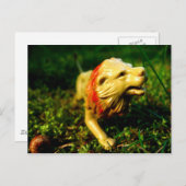 miljard briefkaart (Voorkant / Achterkant)