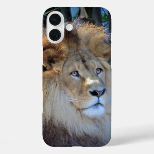 miljard iPhone 16 plus hoesje