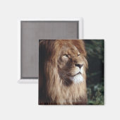 miljard magneet (Voorkant / Achterkant)