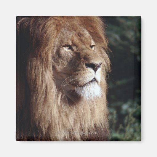 miljard magneet (Voorkant)