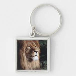 miljard sleutelhanger