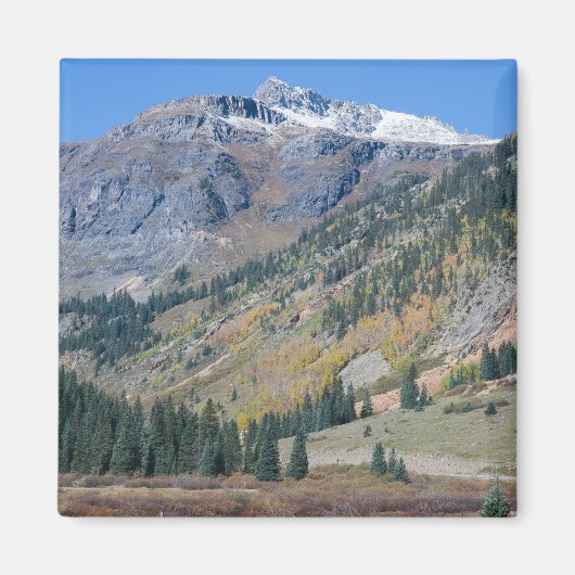 Miljoen dollar snelweg magneet (Voorkant)