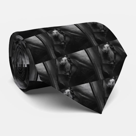 Miljoen Dollar Tapit Filly Stropdas (Opgerold)