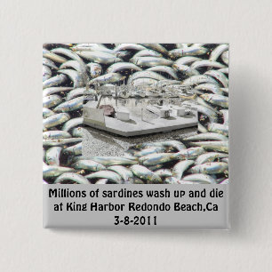 Miljoenen Sardines 3-8-2011_ Vierkante Button 5,1 Cm
